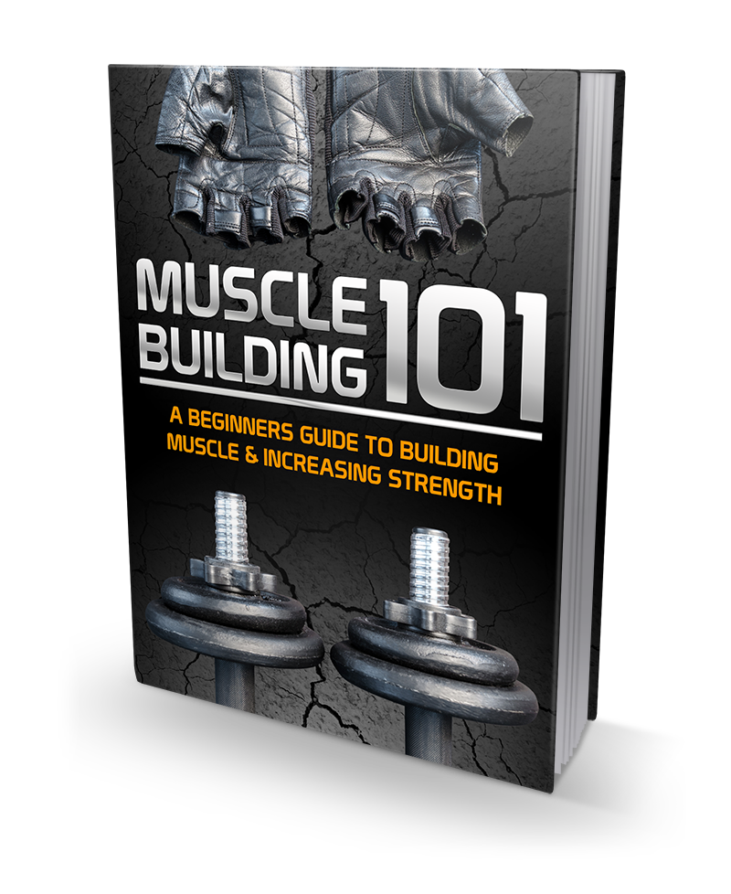 Muscle Building 101 Bundle