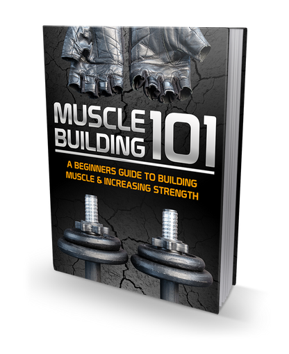 Muscle Building 101 Bundle