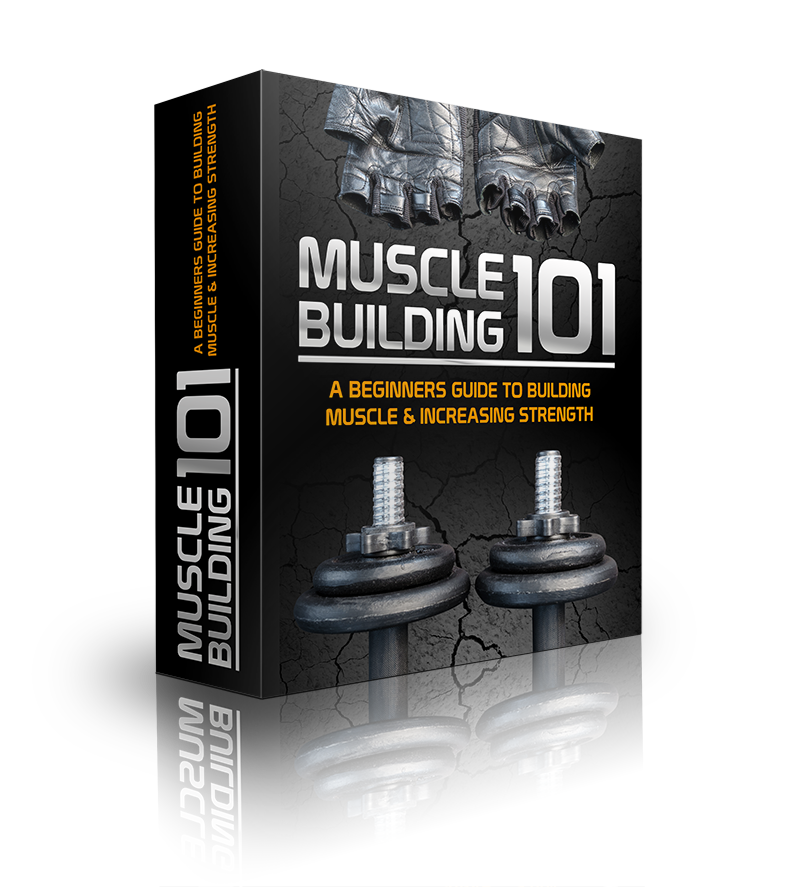 Muscle Building 101 Bundle