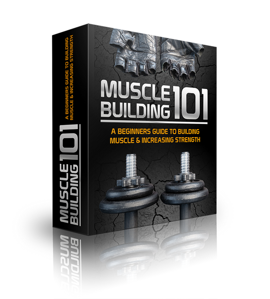 Muscle Building 101 Bundle