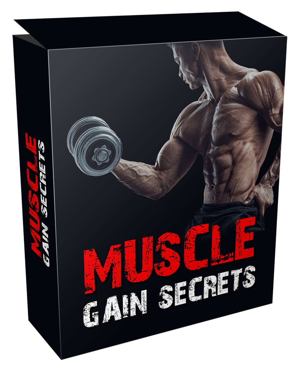 Muscle Gain Secrets Bundle